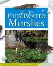 Life in Freshwater Marshes