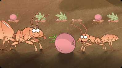 I'm an Ant book