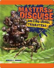 Masters of Disguise: Amazing Animal Tricksters