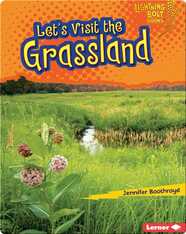Let's Visit the Grassland