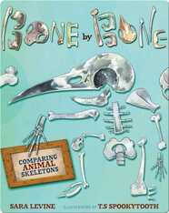 Bone by Bone: Comparing Animal Skeletons