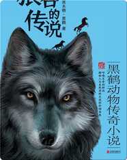 黑鹤动物传奇小说--狼谷的传说
