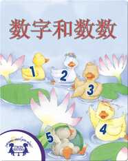 数字和数数