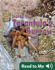Inside the Tarantula’s Burrow