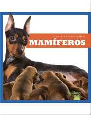 Clasificación Animal: Mamíferos