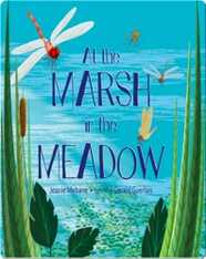 At the Marsh in the Meadow