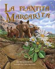 La plantita Margarita