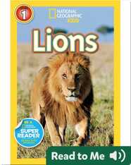 National Geographic Readers: Lions