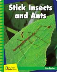 Stick Insects and Ants