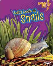 Let's Look at Snails