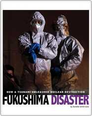 Fukushima Disaster