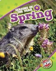 Seasons of the Year: Spring