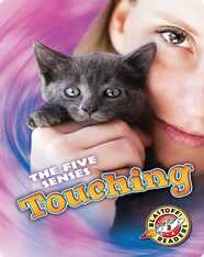 The Five Senses: Touching