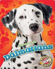 Dalmatians