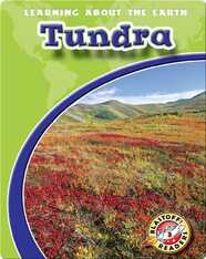 Tundra