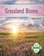 Grassland Biome