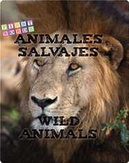 Animales salvajes / Wild Animals