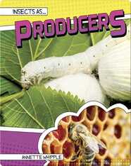 Insects as Producers