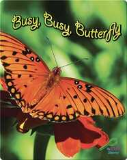 Busy, Busy Butterfly