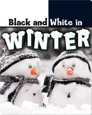 Black and White in Winter