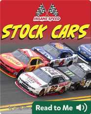 Insane Speed- Stock Cars
