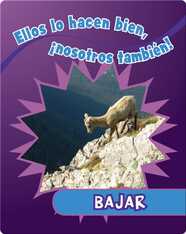 Bajar