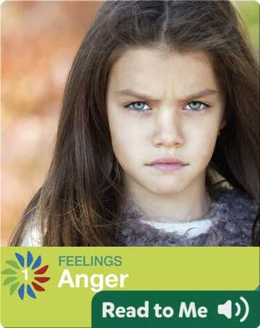 Anger book