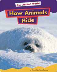 How Animals Hide