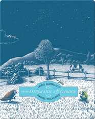 On the Other Side of the Garden