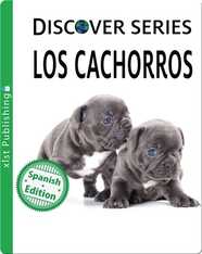 Los cachorros