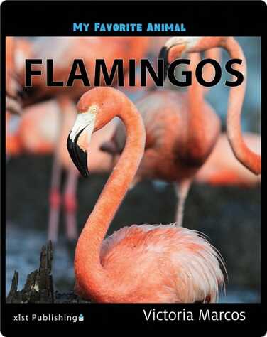 My Favorite Animal: Flamingos book