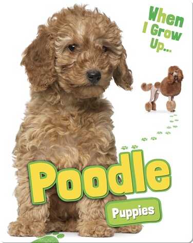 Poodle Puppies book