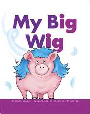 My Big Wig