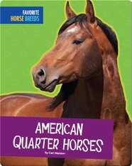American Quarter Horses