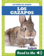 Los gazapos