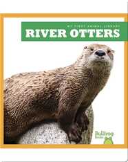 River Otters