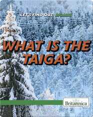What Is the Taiga?