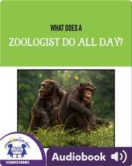 What Does A Zoologist Do All Day?