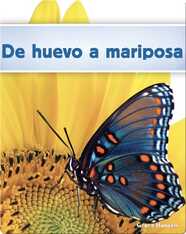 De huevo a mariposa