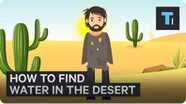 How To Find Water If You're Ever Stuck In A Desert