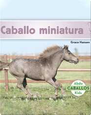 Caballo miniatura