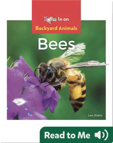 Bees book