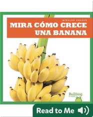 Mira cómo crece una banana (Watch a Banana Grow)