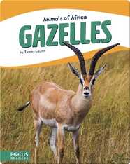 Animals of Africa: Gazelles