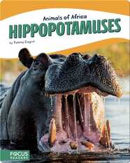 Animals of Africa: Hippopotamuses