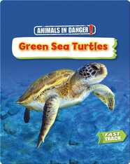Animals in Danger: Green Sea Turtles