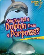 Can You Tell a Dolphin from a Porpoise?