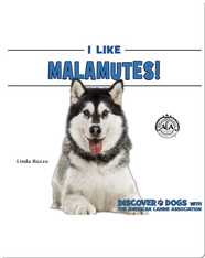 I Like Malamutes!