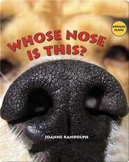 Whose Nose Is This?