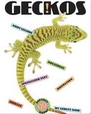 Geckos